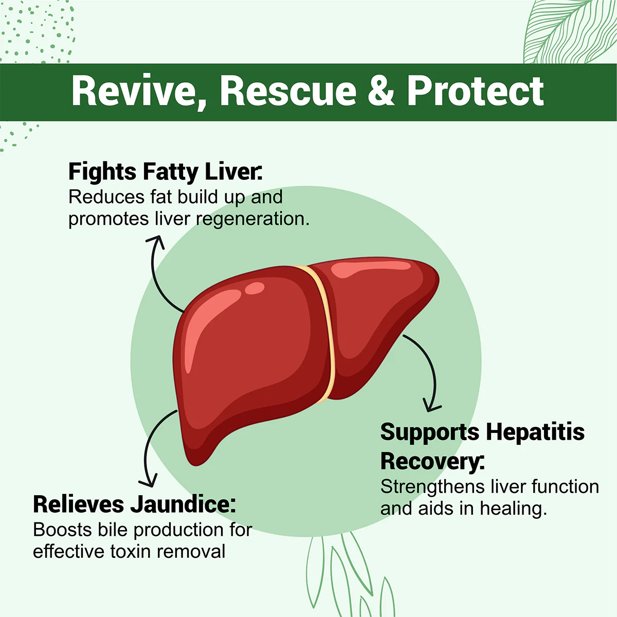 Cureveda Liver Loyal - Image 5