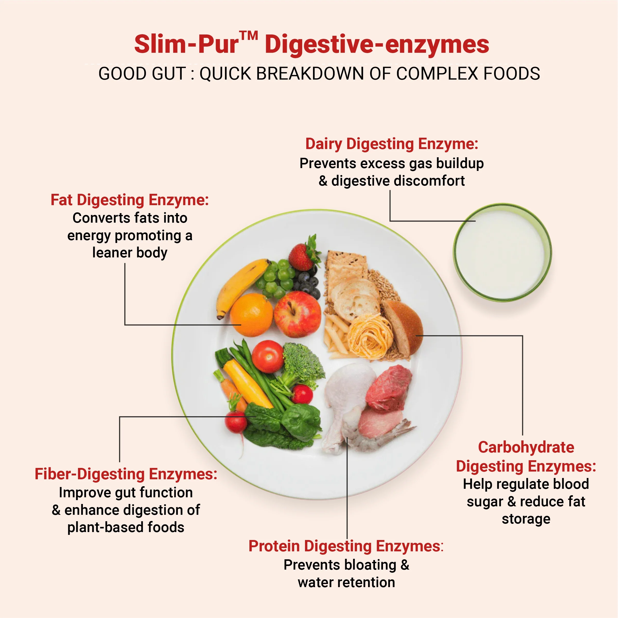 Weight-gut - with Digestive enzymes - Image 9